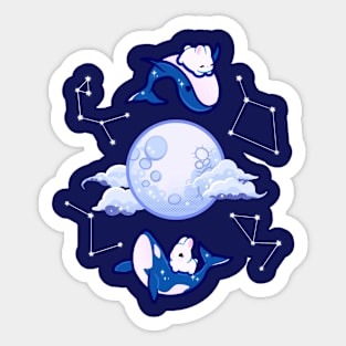 Midnight Swim Sticker